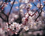Thumbnail image for Take 5 & Try a Mindfulness Training Exercise